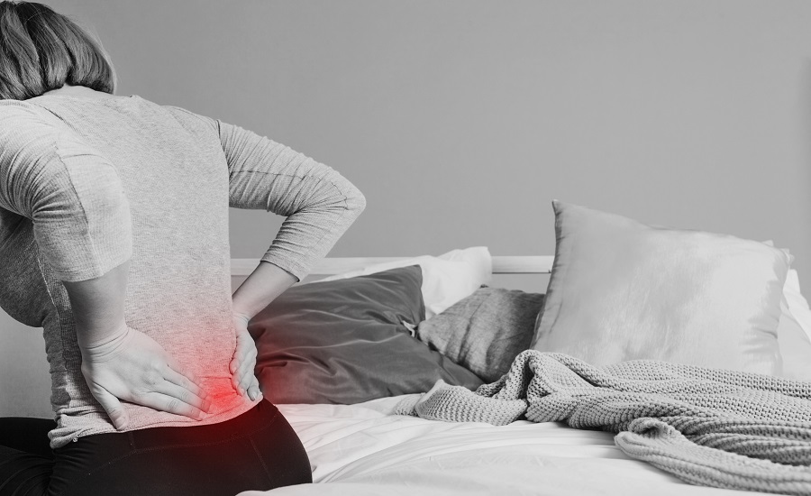 backpaintreatments