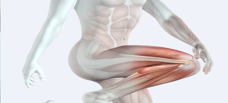 spine and neck treatment