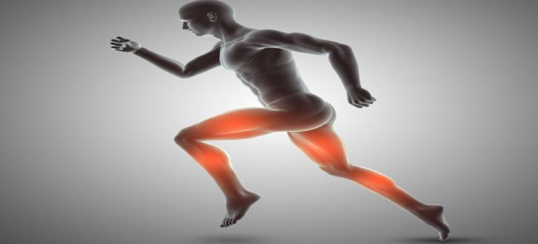 Orthopaedic Clinic (2)