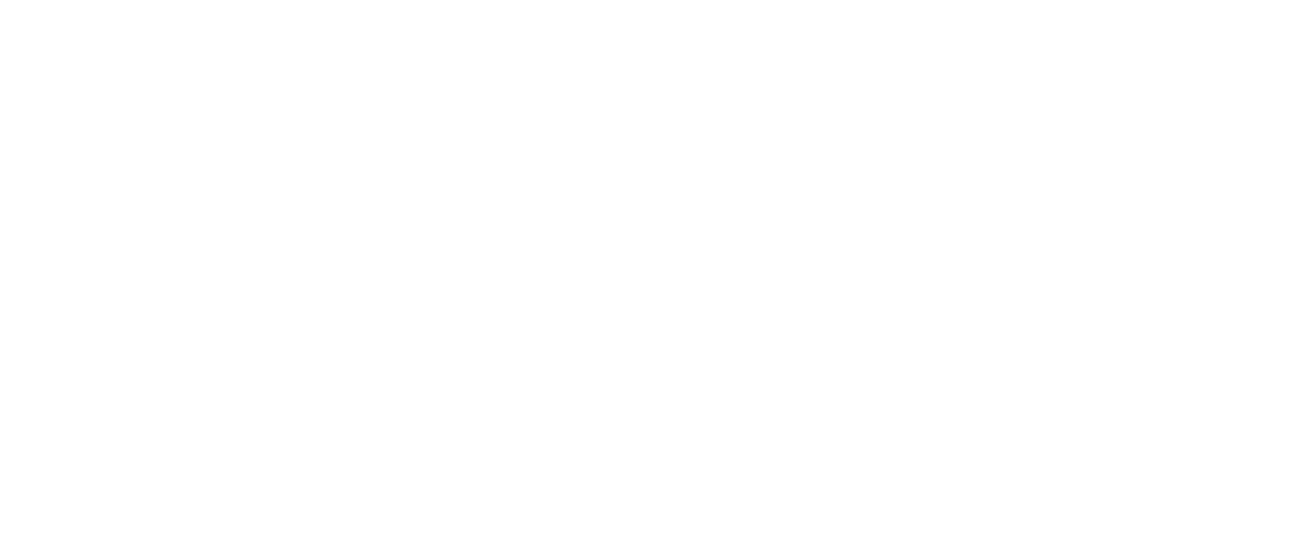logo WHITE