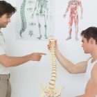 diagram-showing-the-different-regions-of-the-human-spine-and-the-importance-of-alignment