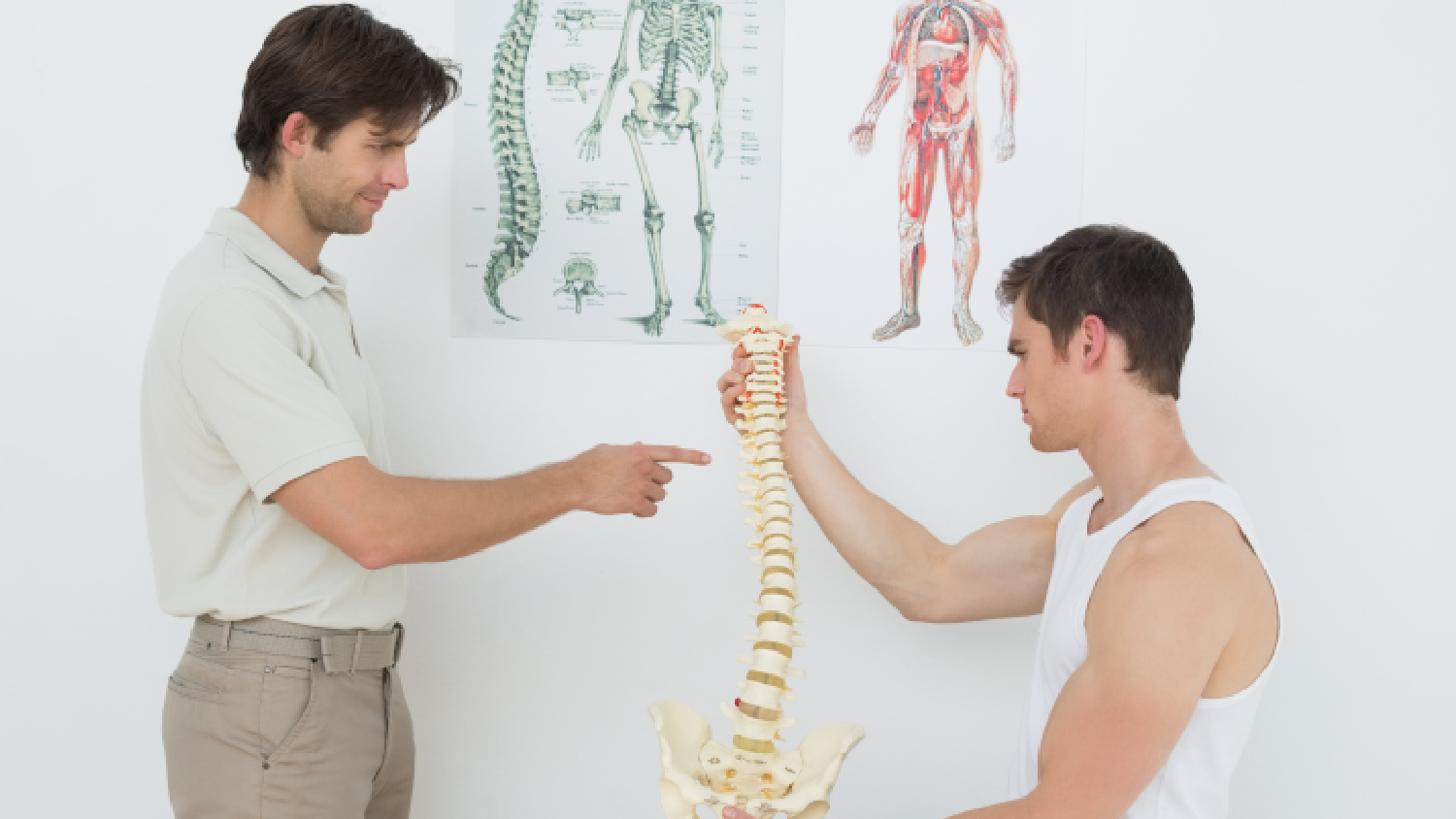 diagram-showing-the-different-regions-of-the-human-spine-and-the-importance-of-alignment