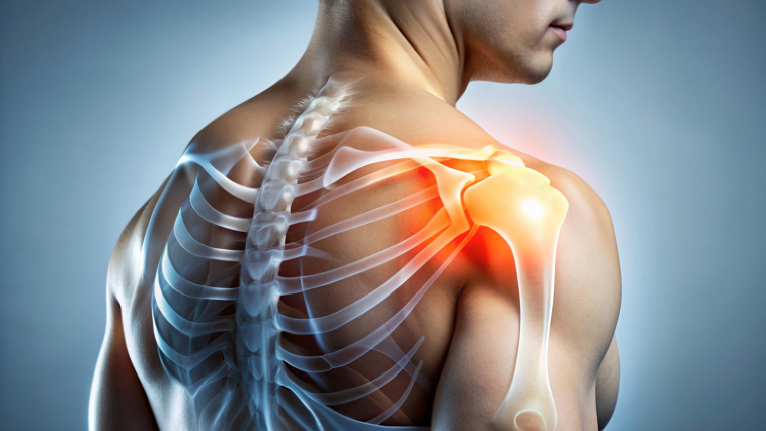 anatomical-diagram-of-the-shoulder-joint-showing-the-ligaments-and-rotator-cuff-tendons