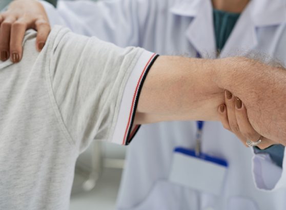 diagram-of-the-ball-and-socket-structure-of-the-shoulder-joint