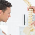 illustration-of-the-deep-spinal-muscles-responsible-for-core-stability-and-support