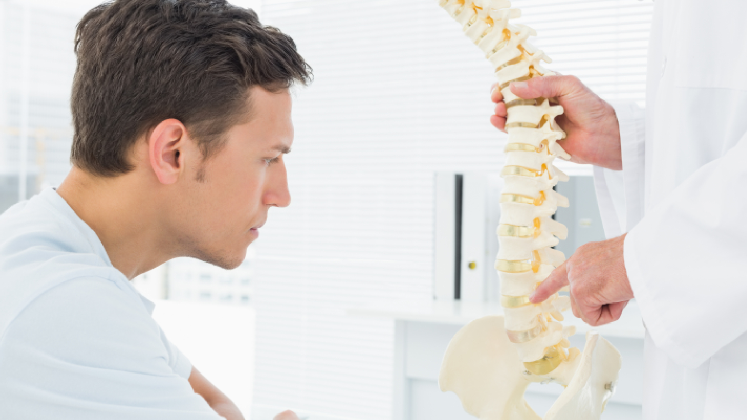 illustration-of-the-deep-spinal-muscles-responsible-for-core-stability-and-support