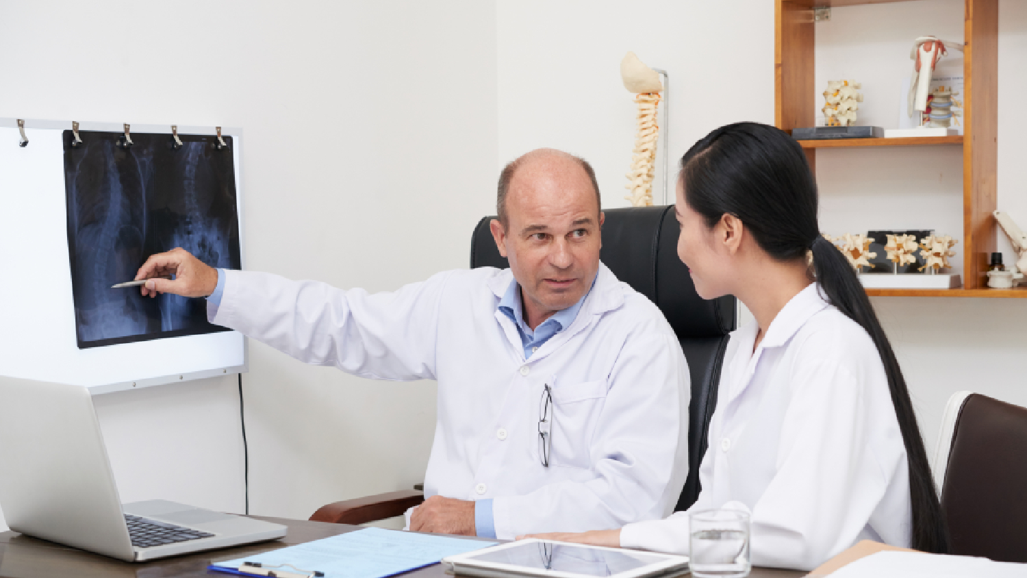 comparison-of-healthy-bone-matrix-versus-the-porous-structure-of-osteoporosis