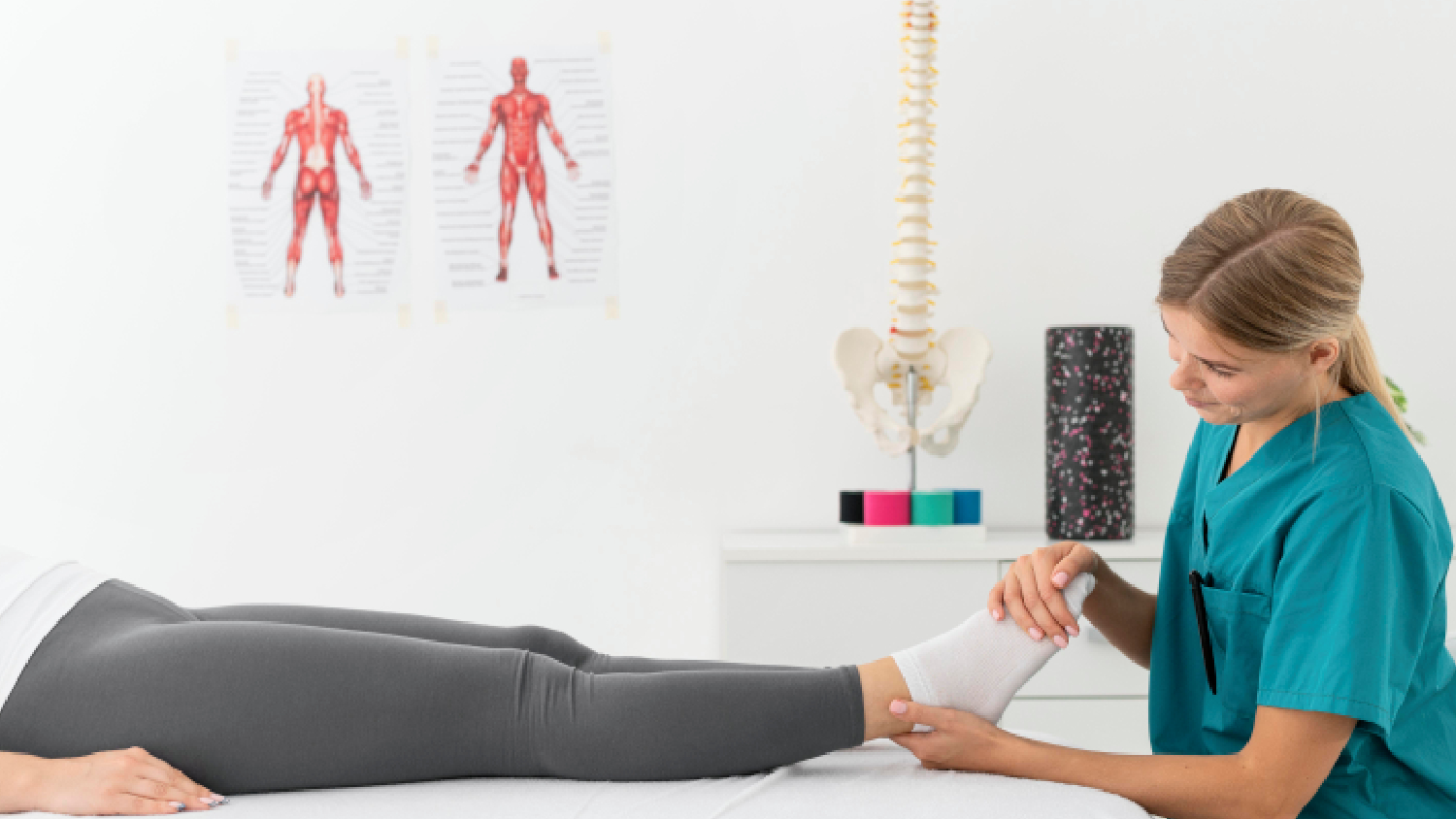 anatomical-chart-tracing-the-sciatic-nerve-path-from-the-lower-lumbar-vertebrae-through-the-glutes-down-to-the-lower-leg